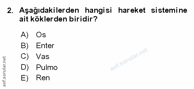 Soru 2