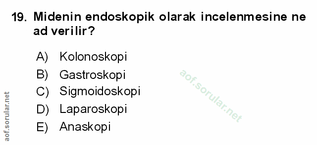 Soru 19