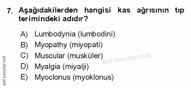 Soru 7