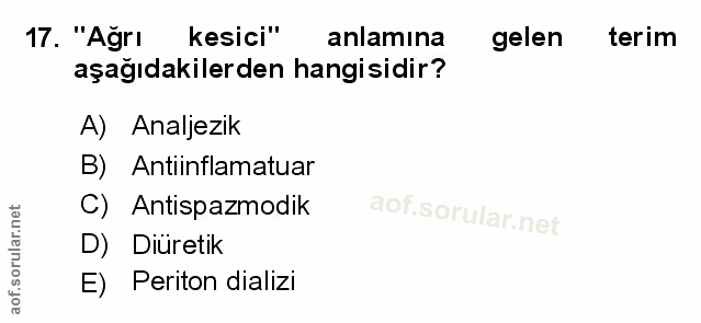 Soru 17