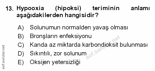 Soru 13