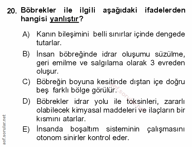 Soru 20