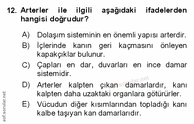 Soru 12