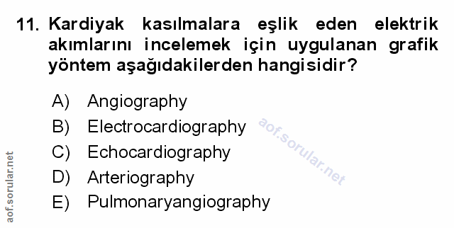 Soru 11
