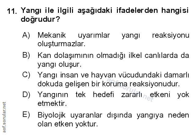 Soru 11