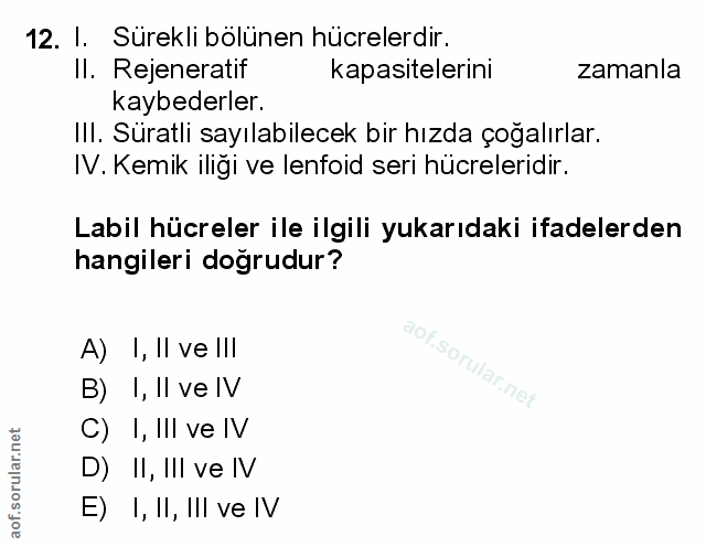 Soru 12