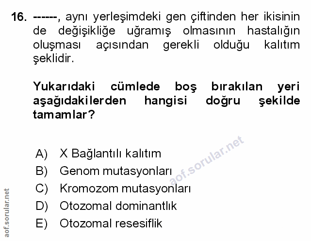 Soru 16