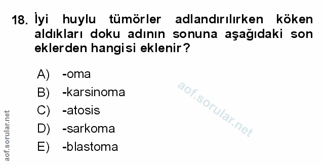 Soru 18