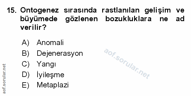 Soru 15