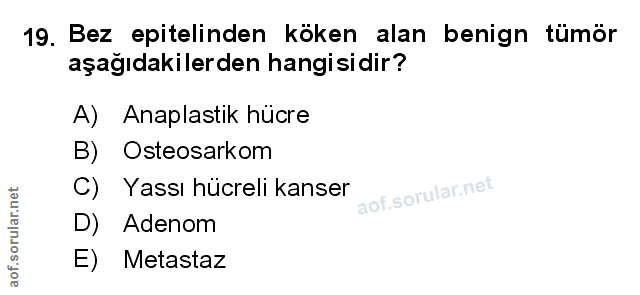 Soru 19