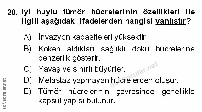 Soru 20