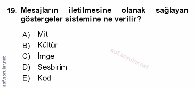 Soru 19