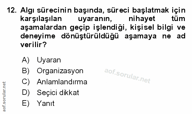 Soru 12