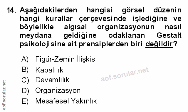 Soru 14