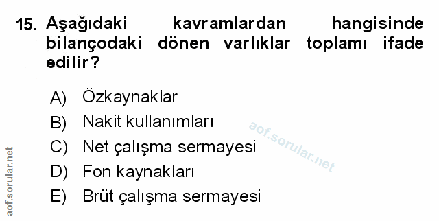 Soru 15