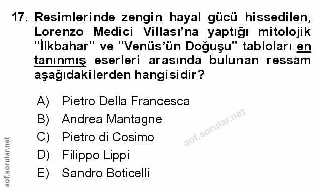 Soru 17