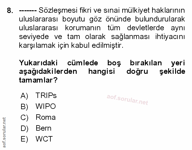 Soru 8