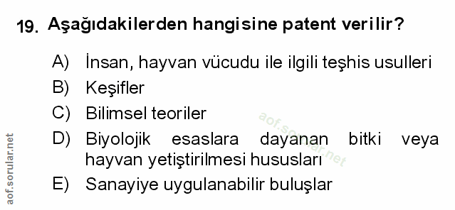 Soru 19