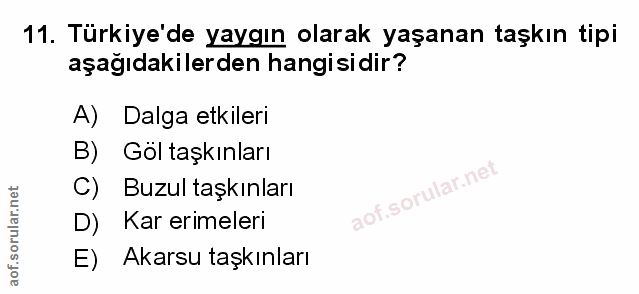 Soru 11