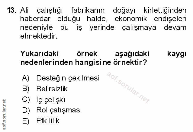 Soru 13