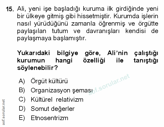 Soru 15