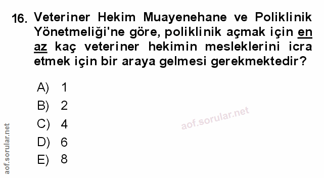 Soru 16
