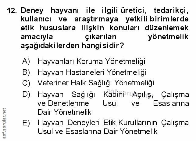 Soru 12