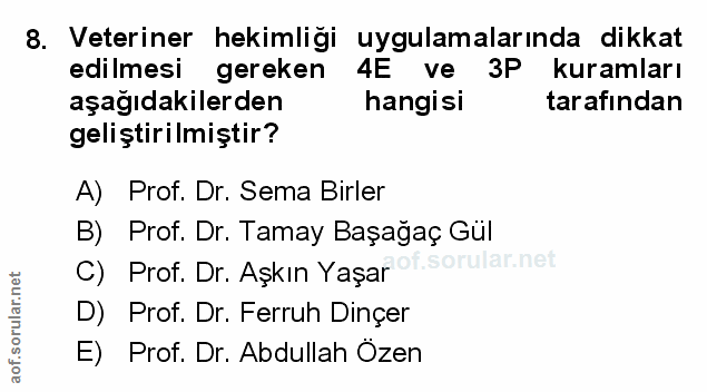 Soru 8