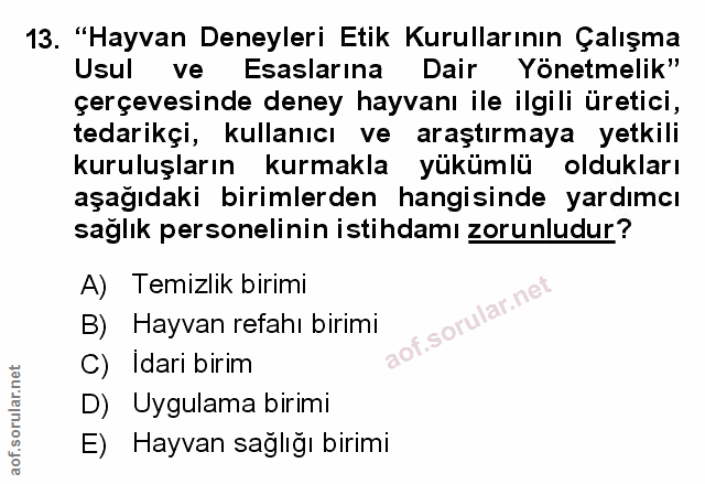 Soru 13