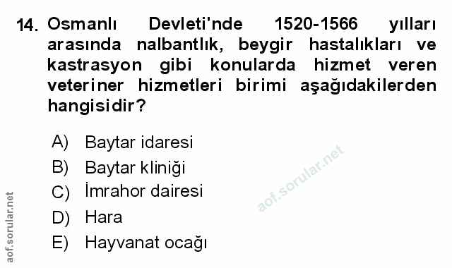 Soru 14