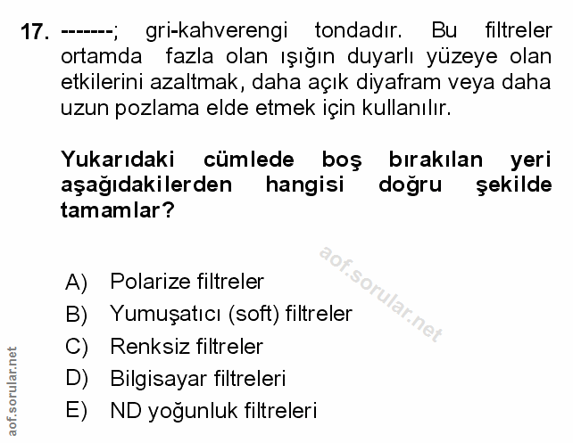 Soru 17