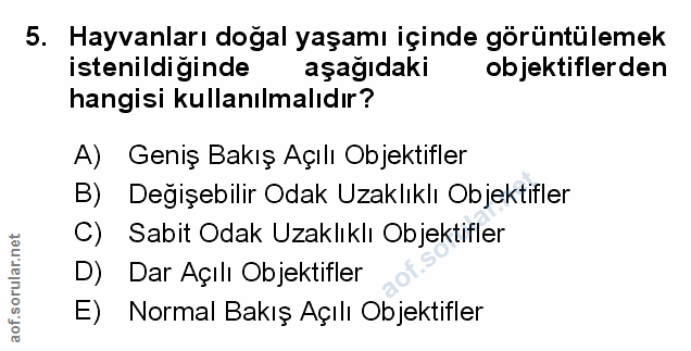 Soru 5