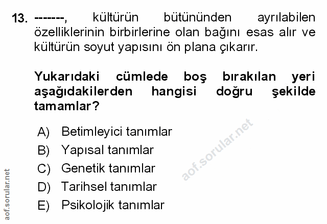 Soru 13