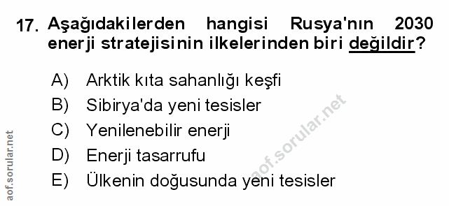 Soru 17