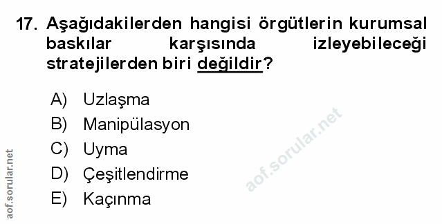 Soru 17