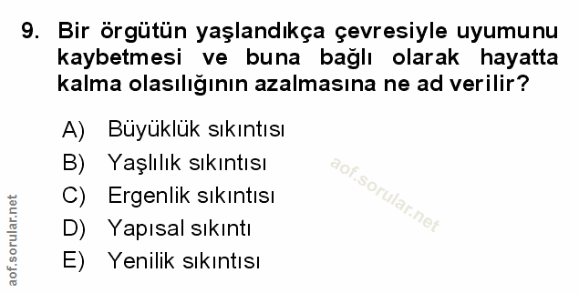 Soru 9