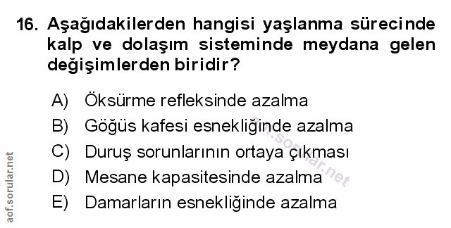 Soru 16