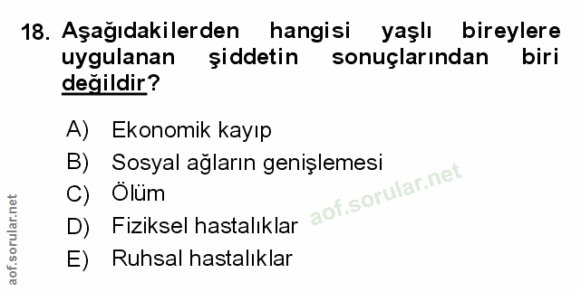 Soru 18
