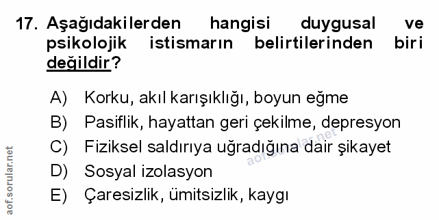Soru 17