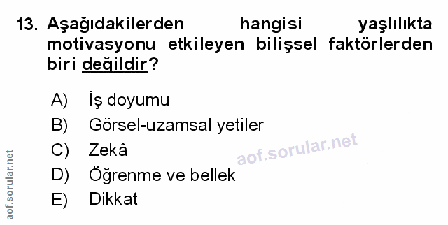 Soru 13