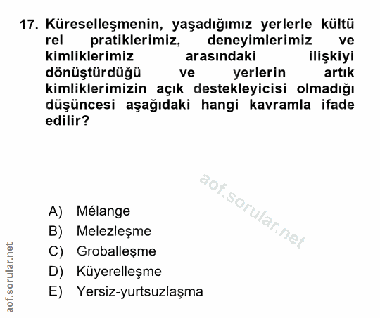 Soru 17