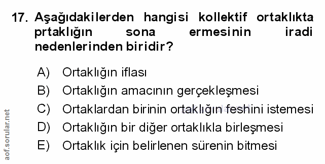 Soru 17