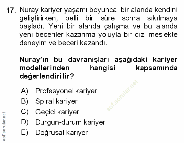 Soru 17