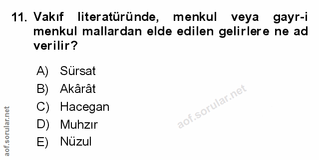 Soru 11
