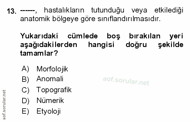 Soru 13
