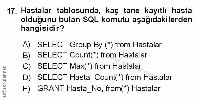 Soru 17