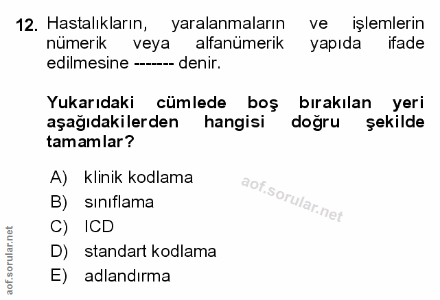 Soru 12