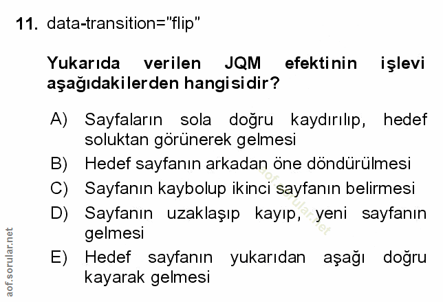 Soru 11