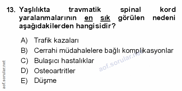 Soru 13