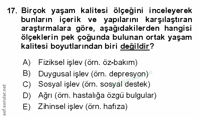 Soru 17